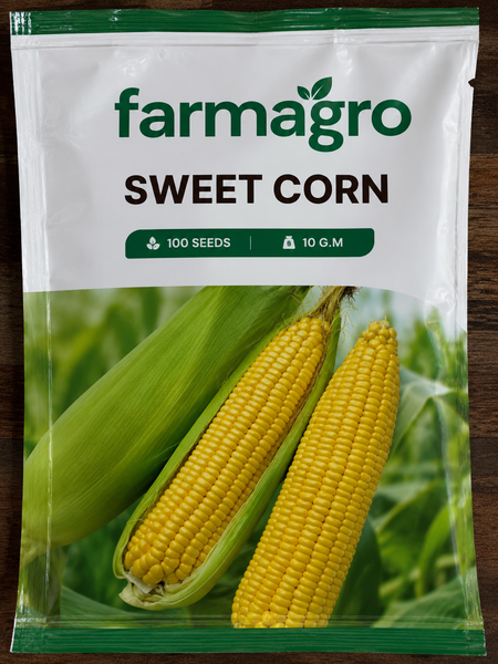 Sweet Corn (Pack of 100 Seeds)