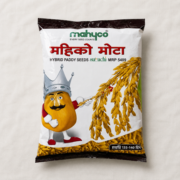 Mahyco Mota Hybrid Paddy