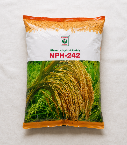 Nirmal NPH 242 Hybrid Paddy