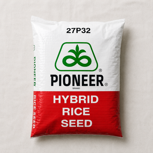 Pioneer 27P32 Hybrid Paddy