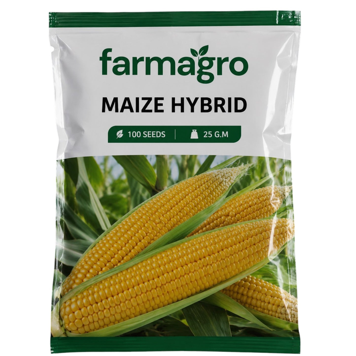 Hybrid Maize