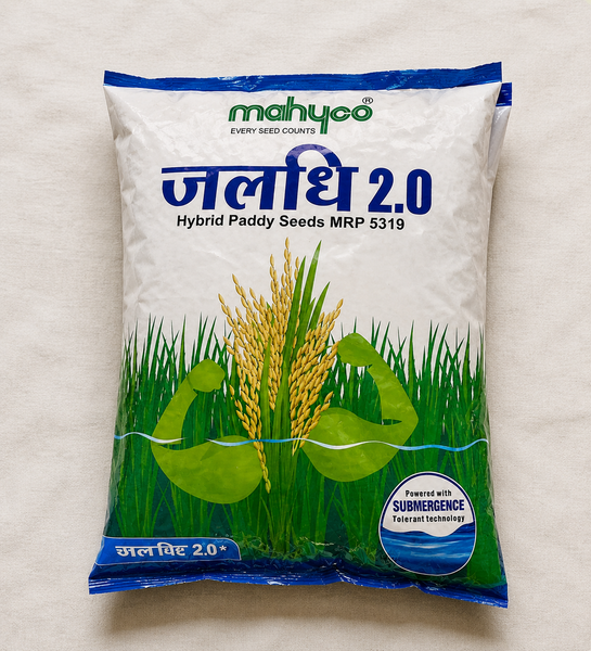 Mahyco Jaldhi Hybrid Paddy