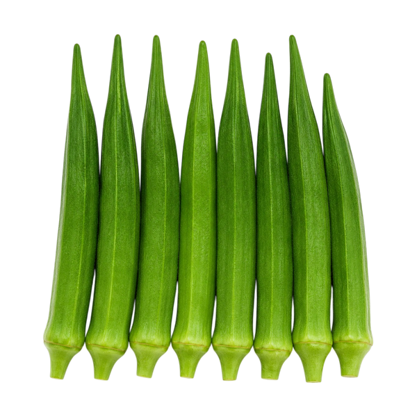 Premium Okra Seeds (Lady Finger) Pack of 100 Seeds