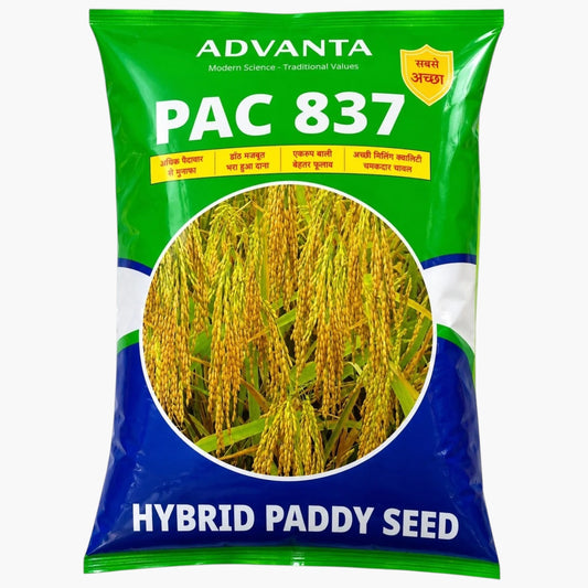 Adventa PAC 837 Plus Hybrid Paddy