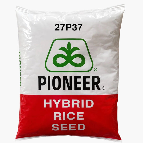 Pioneer 27P37 Hybrid Paddy