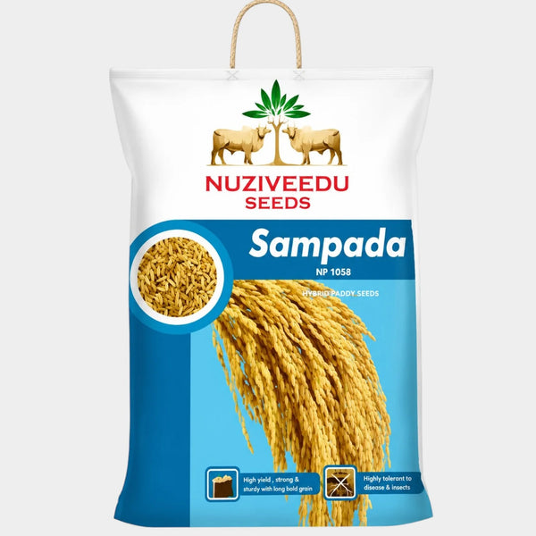 Nuziveedu Sampada Research Paddy 20 K.G