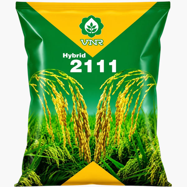 VNR 2111 Hybrid Paddy